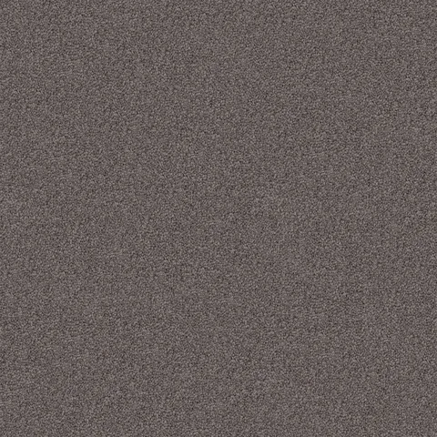 Sea Otter carpet swatch